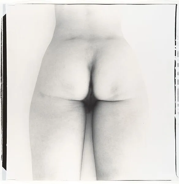 Nude No. 8 — Irving Penn