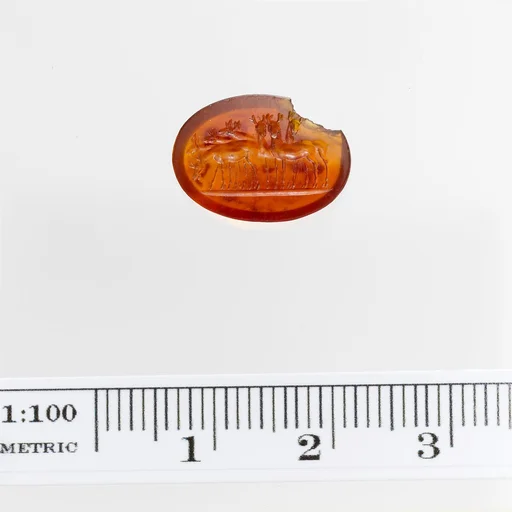 Sard ring stone