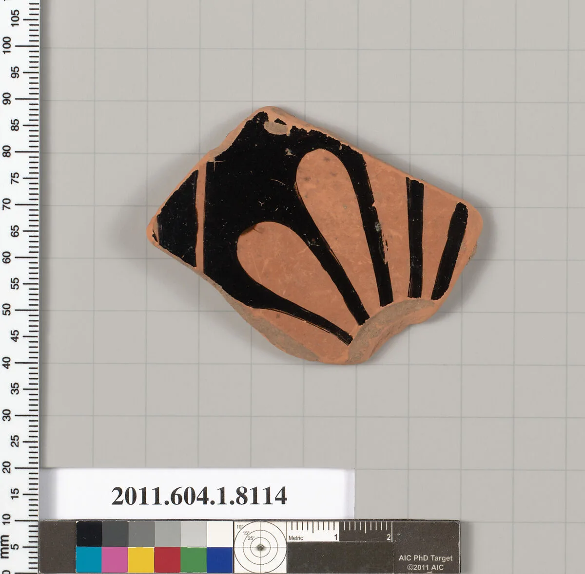 Terracotta fragment of a kylix (drinking cup) — Unknown
