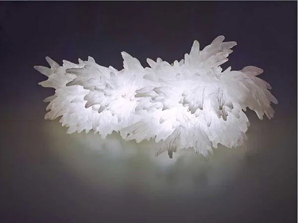Wild — Ayala Serfaty