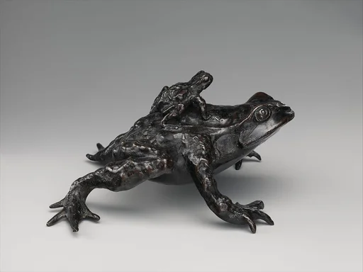 Toad with a Young Toad on its Back
