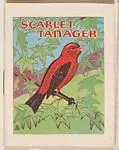 Scarlet Tanager from Eggers Bird Booklets (W607) — Unknown