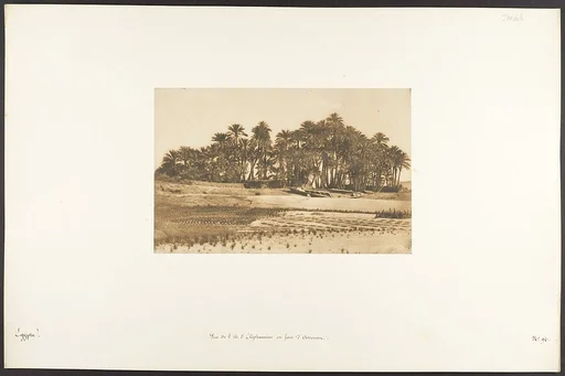 Vue de l'île d'Eléphantine, en face d'Assouan
