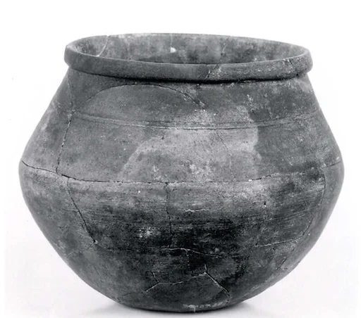 Cooking pot