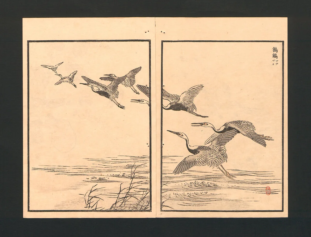 梅嶺百鳥畫譜|Bairei Picture Album of One Hundred Birds (Bairei hyakuchō gafu) — Kōno Bairei 幸野楳嶺