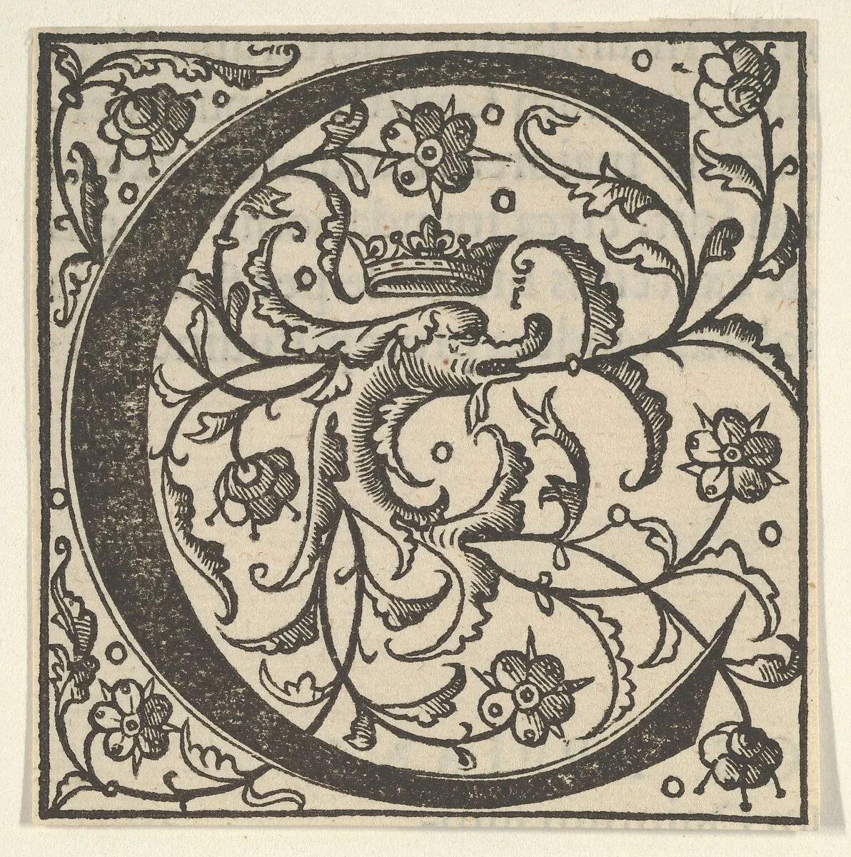 Initial letter C with dolphin and crown — Unknown