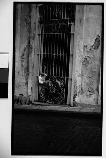 [Young Boy Behind Iron Grillwork Door, Havana]