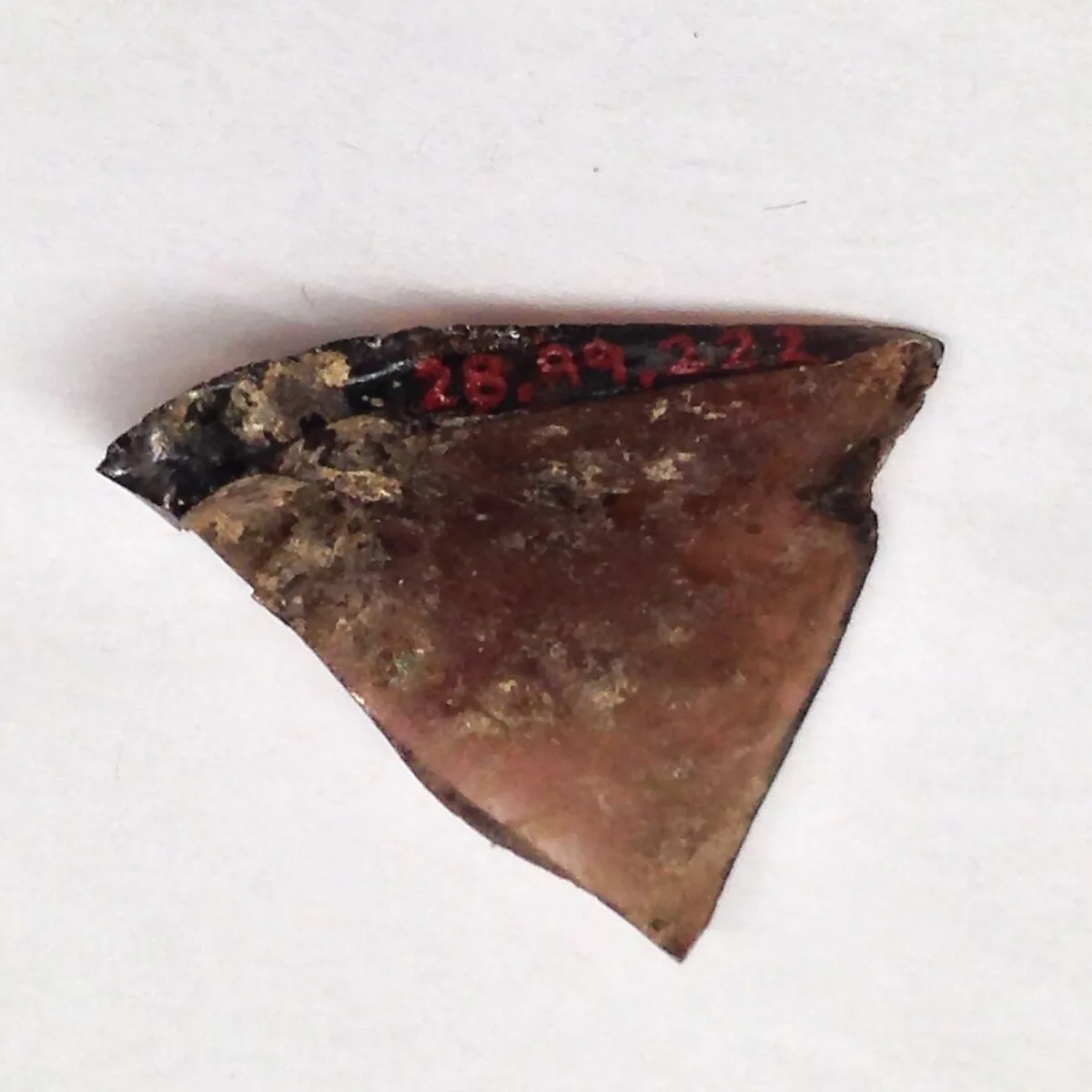 Fragment — Unknown