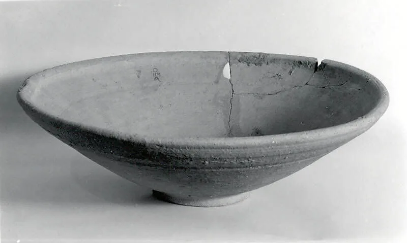 Dish — Unknown
