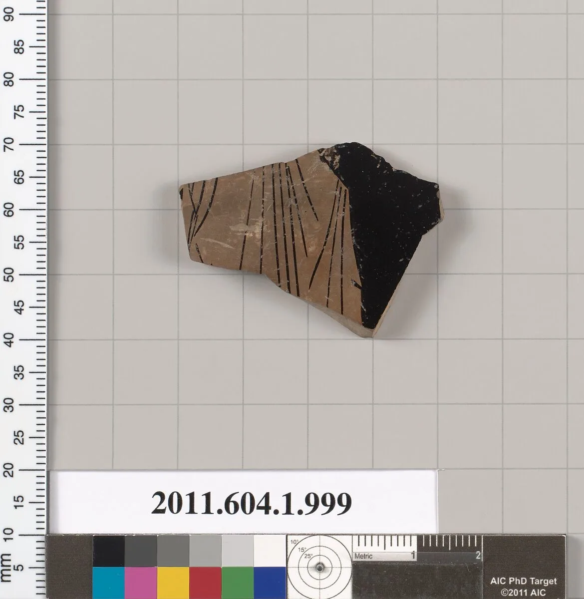 Terracotta fragment of a kylix (drinking cup) — Unknown