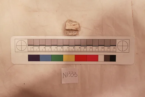 Stucco Fragment