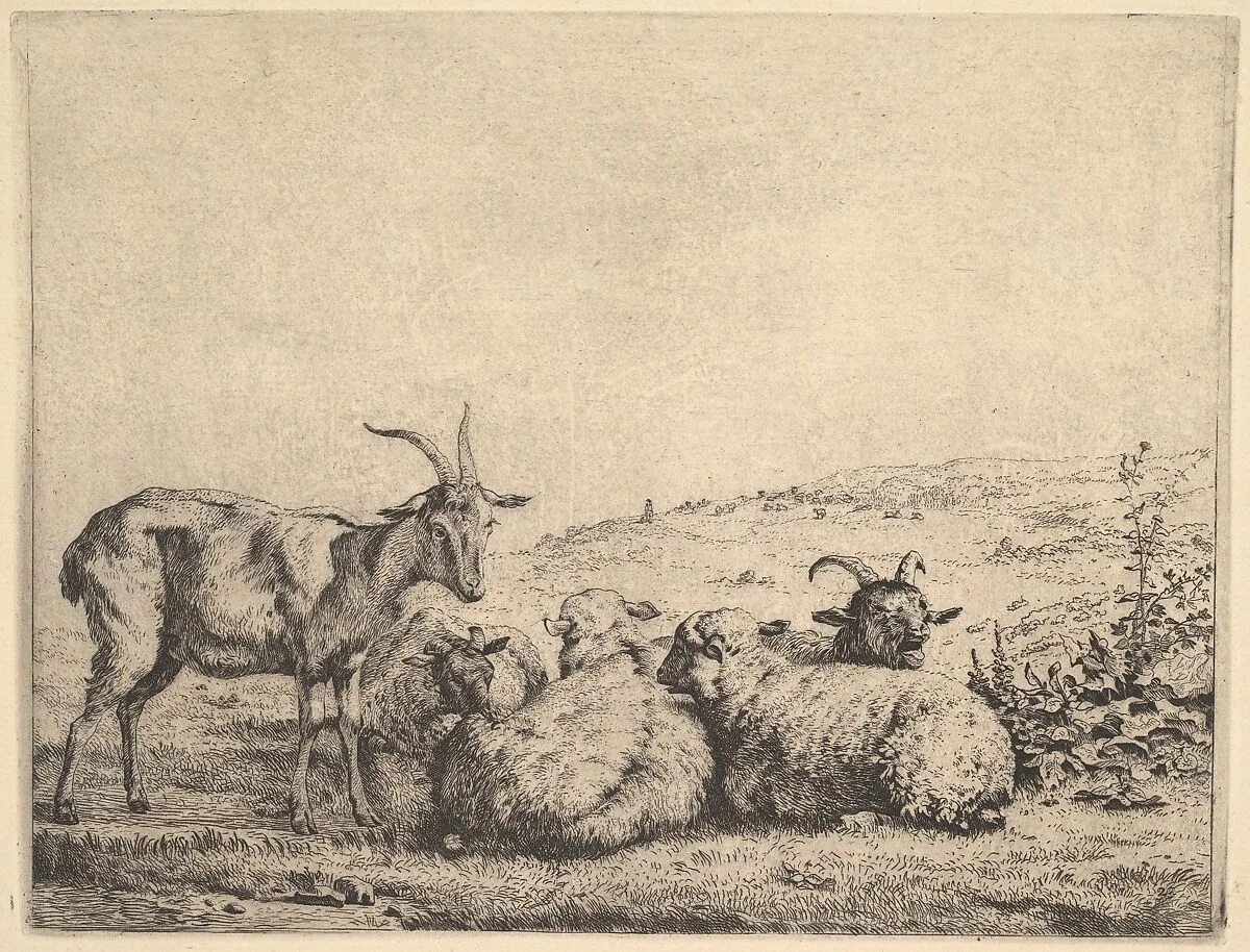 Two Goats and Three Sheep — Karel Dujardin