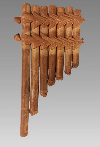 Pachava