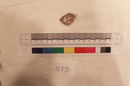 Stucco Fragment