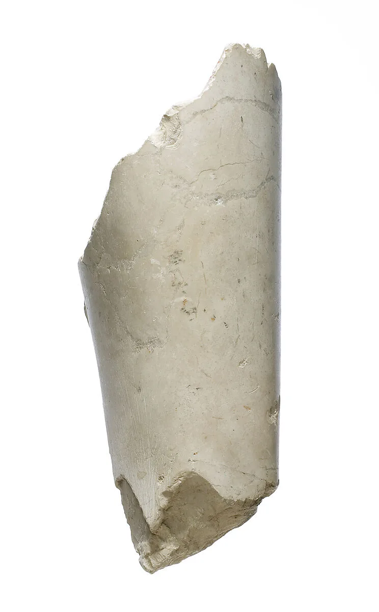 Arm, forearm — Unknown