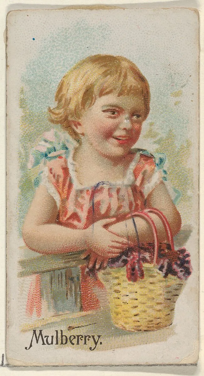 Mulberry, from the Fruits series (N12) for Allen & Ginter Cigarettes Brands — Allen & Ginter|George S. Harris & Sons