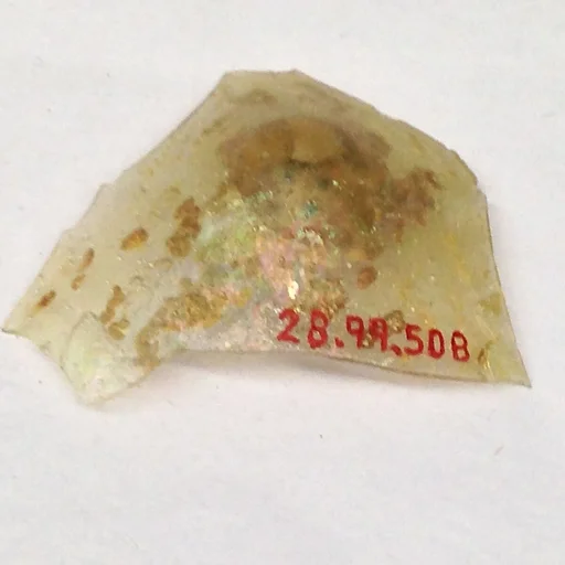 Fragment