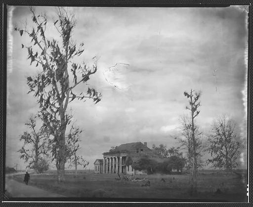 [Oblique View of Plantation House, From Road with Oak Tree in Foreground]