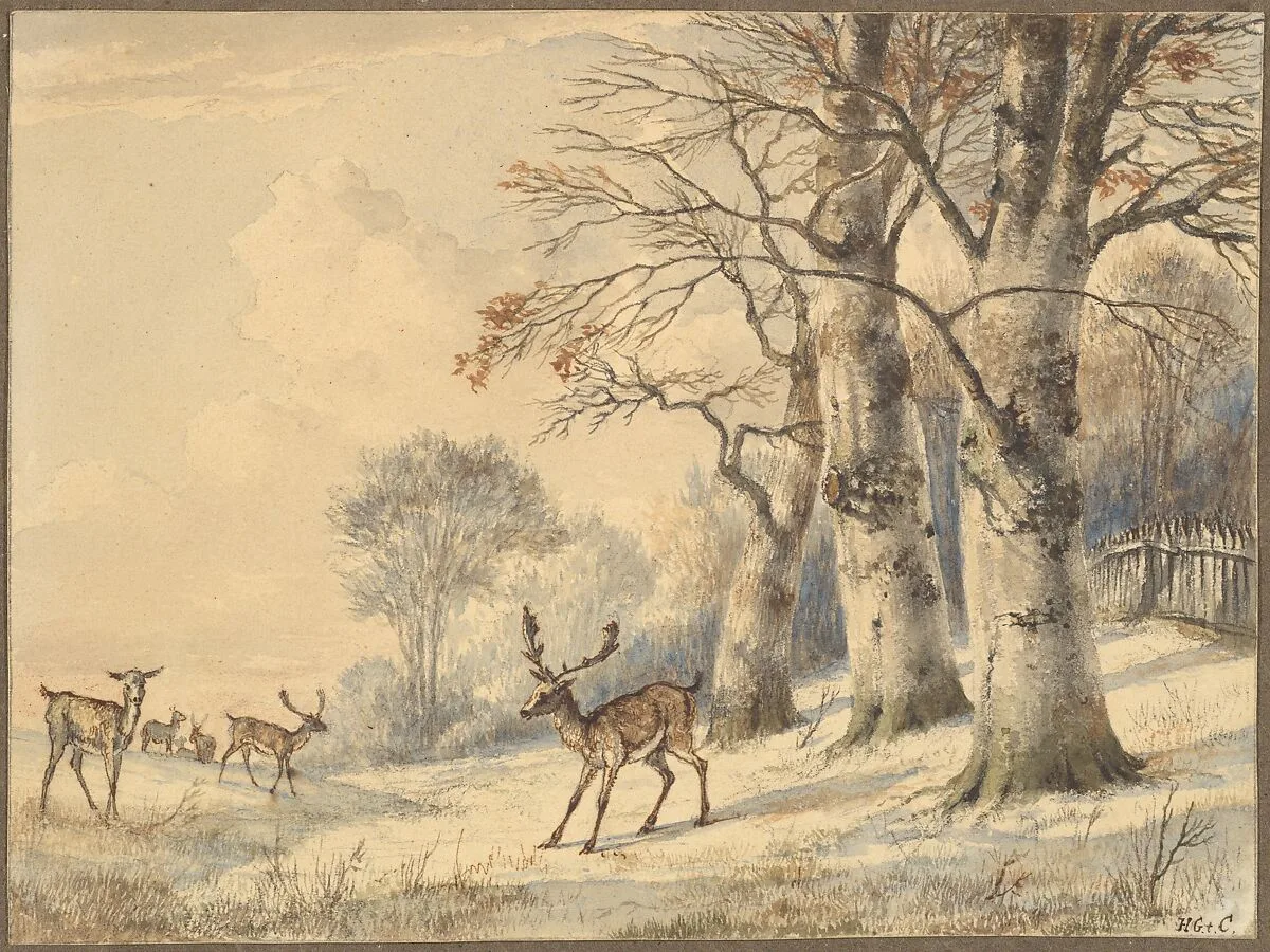 Deer under Beech Trees in Summer — Hendrik Gerrit ten Cate