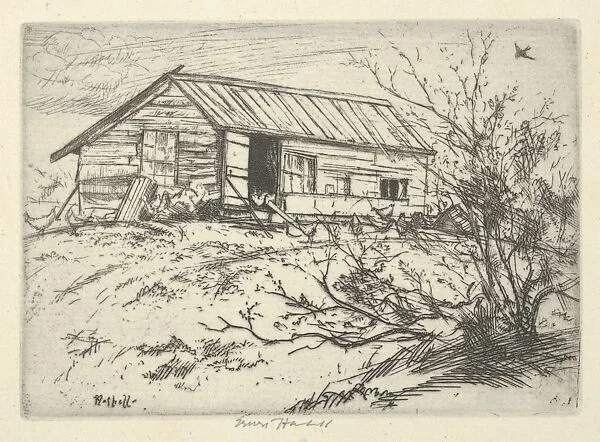 Hilltop Chickens — Ernest Haskell