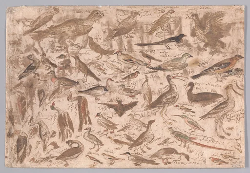 Studies of Birds (recto); Village Scene with Skaters (verso)