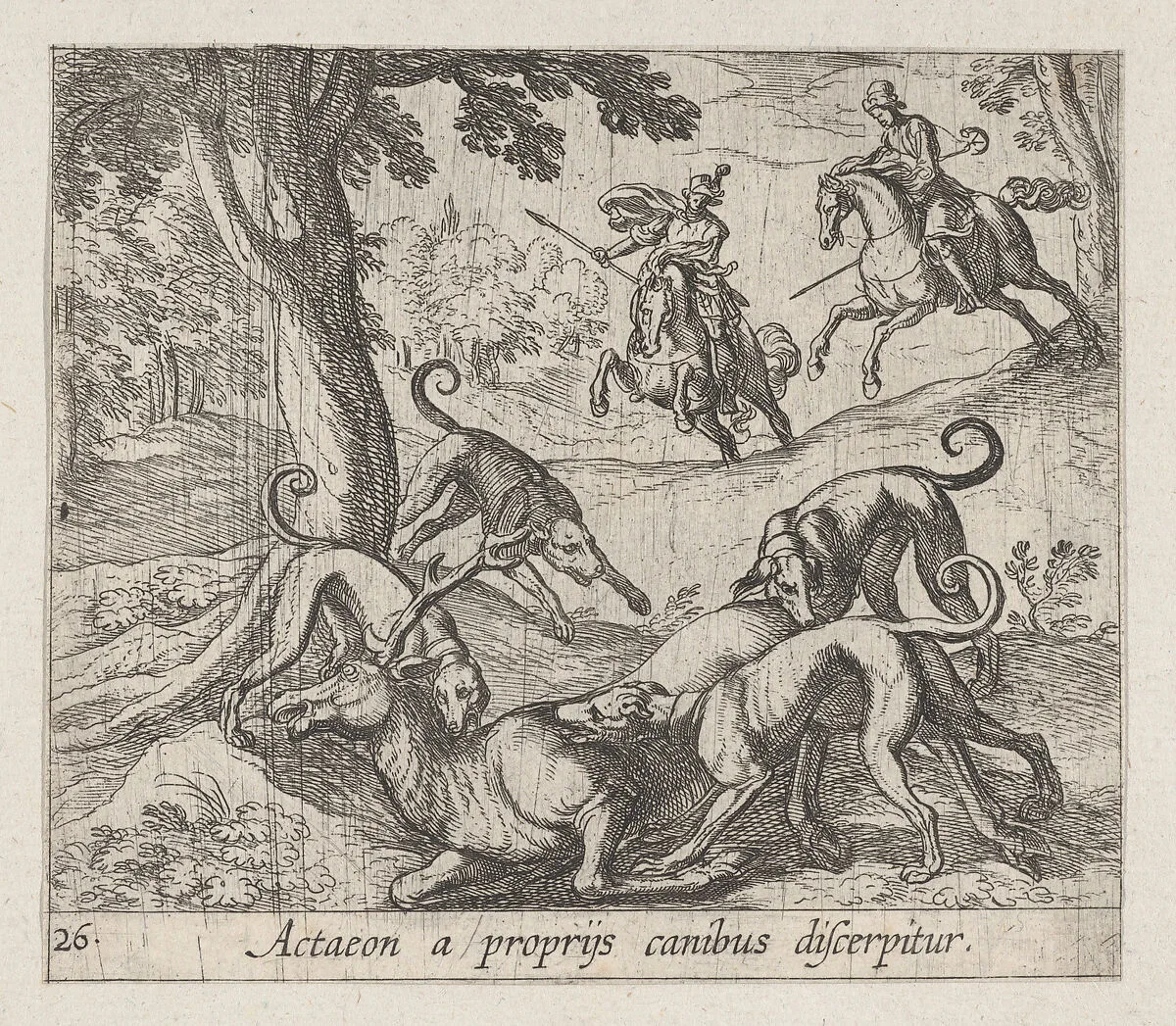 Plate 26: Actaeon Killed by His Dogs (Actaeon a proprÿs canibus discerpitur), from Ovid's 'Metamorphoses' — Antonio Tempesta