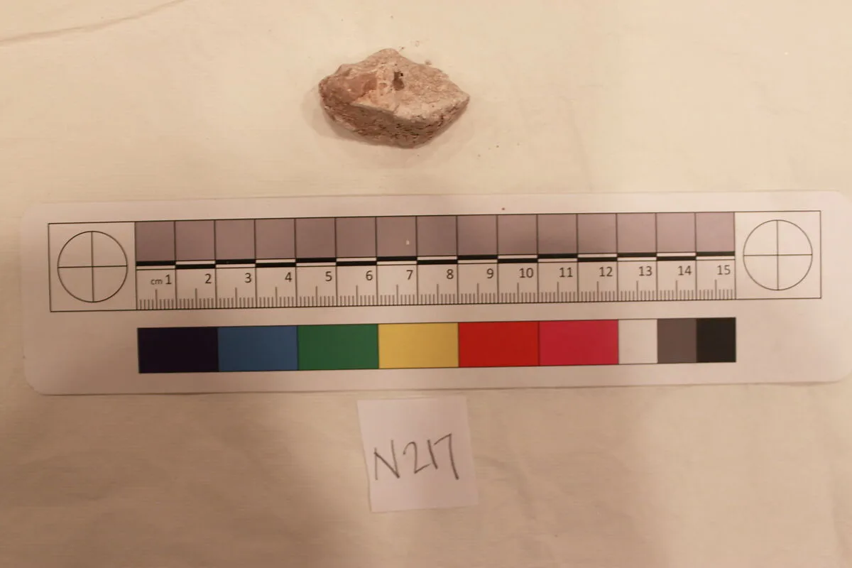 Stucco Fragment — Unknown