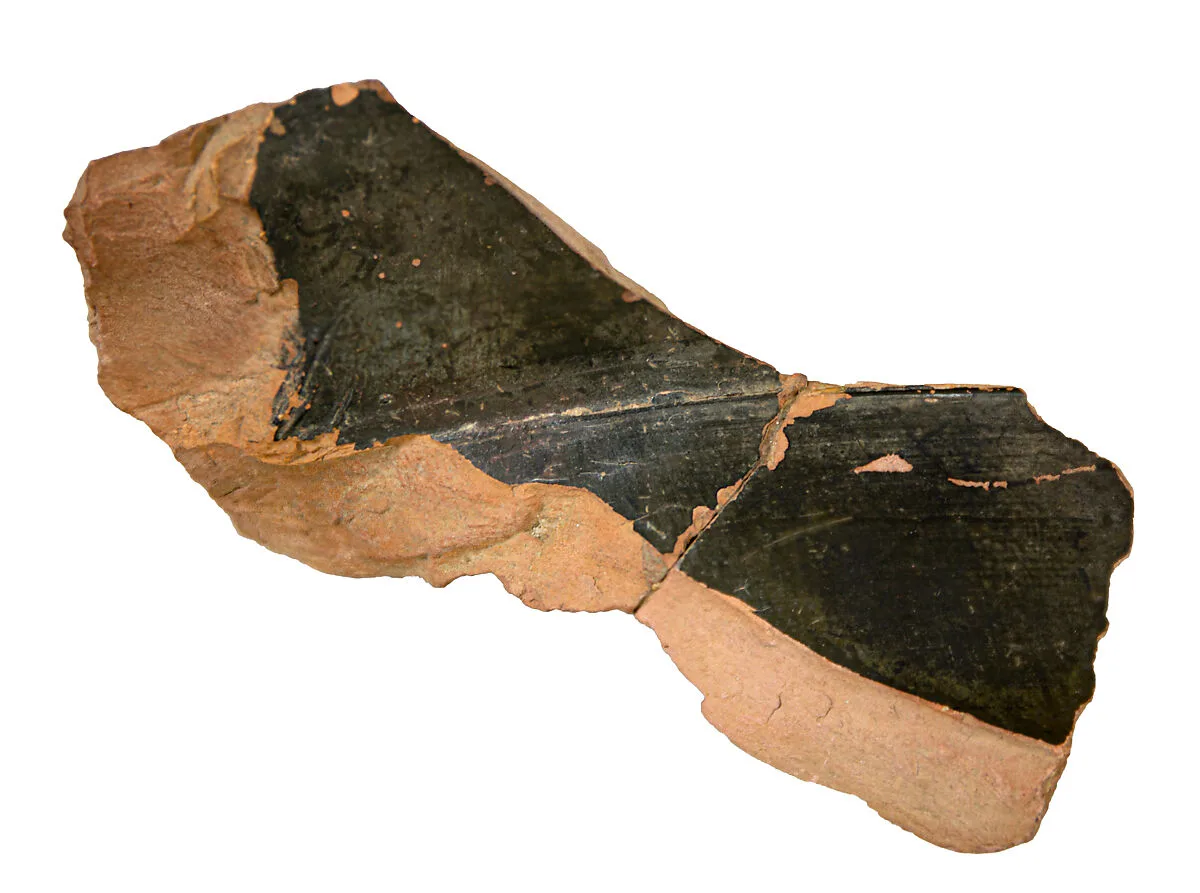 Volute-krater fragment — Unknown