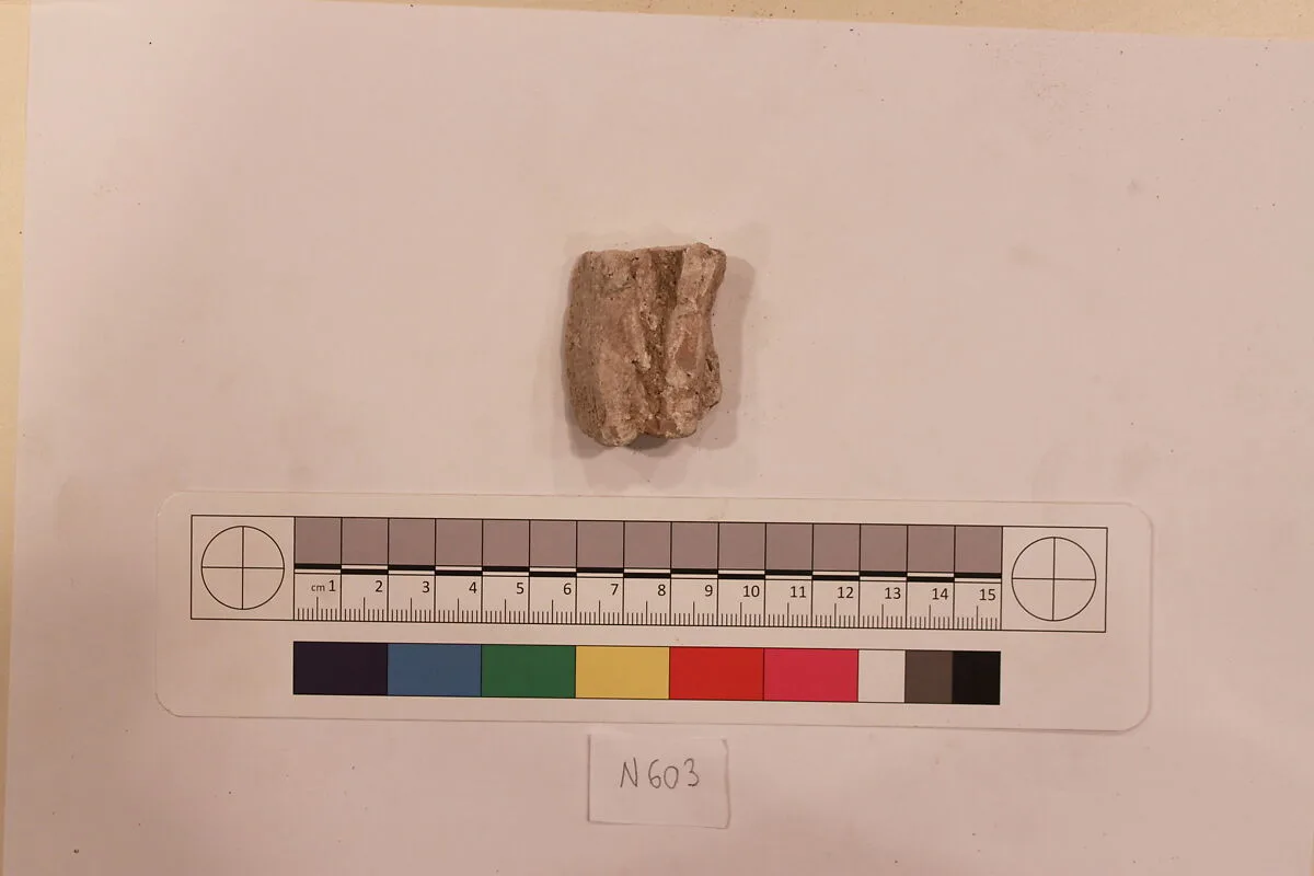Stucco Fragment — Unknown