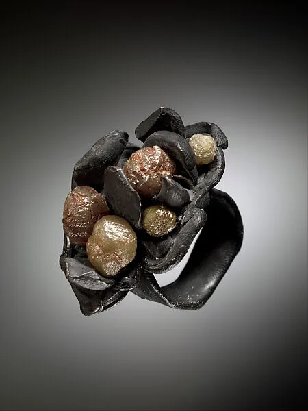 Ring — Karl Fritsch