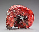 Gut Feeling — Aneta Regel