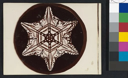 [Snow Crystal]