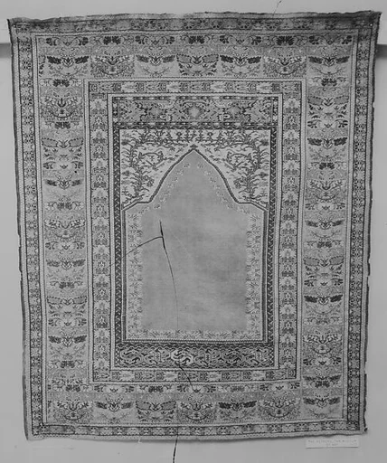 Carpet