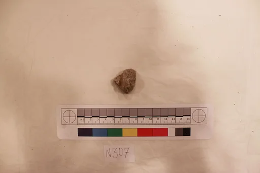Stucco Fragment