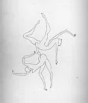 Woman and Faun — e. e. cummings