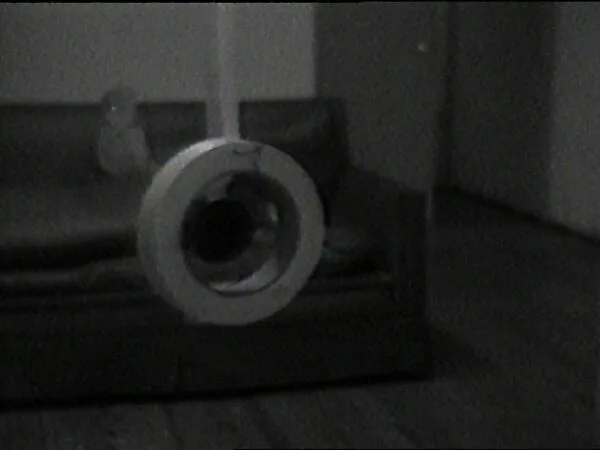 Dancing Tape — William Wegman
