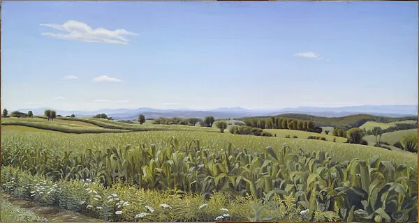 Cambridge Corn — Marjorie Portnow