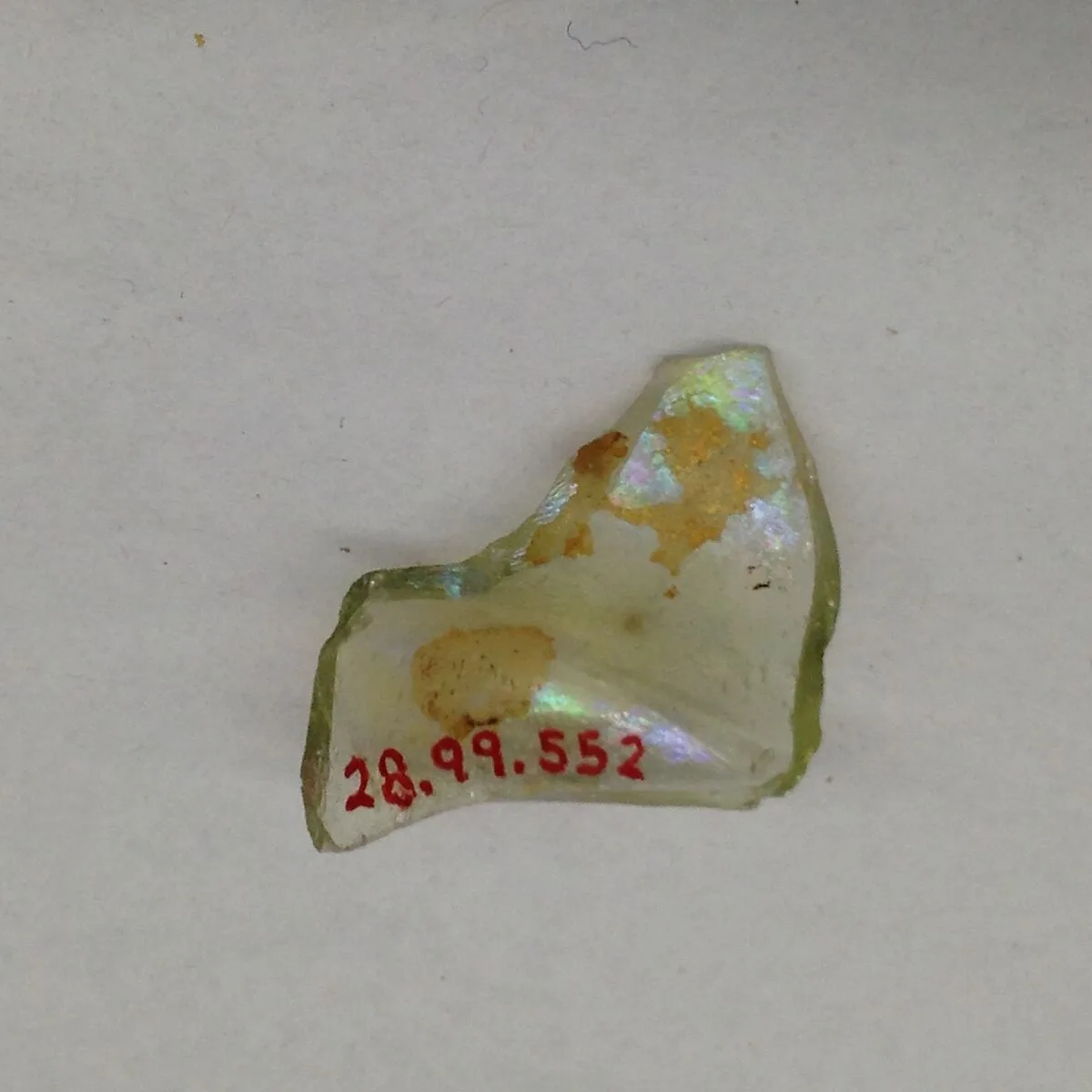 Fragment — Unknown