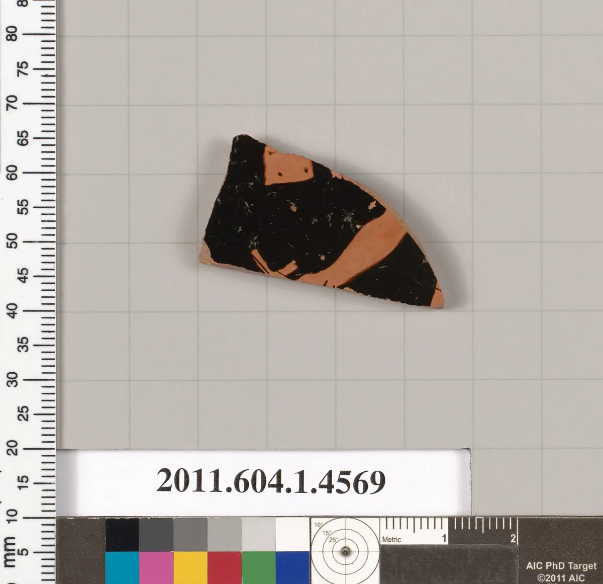 Terracotta fragment of a kylix (drinking cup) — Unknown