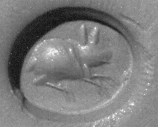 Stamp seal — Unknown