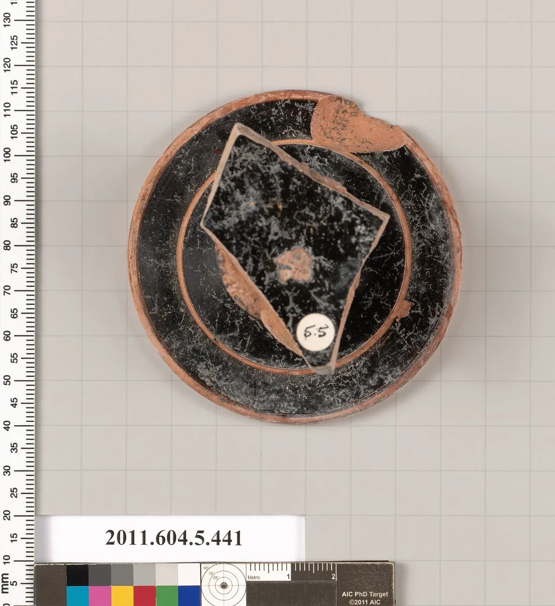 Terracotta fragment of a kylix (drinking cup) — Unknown