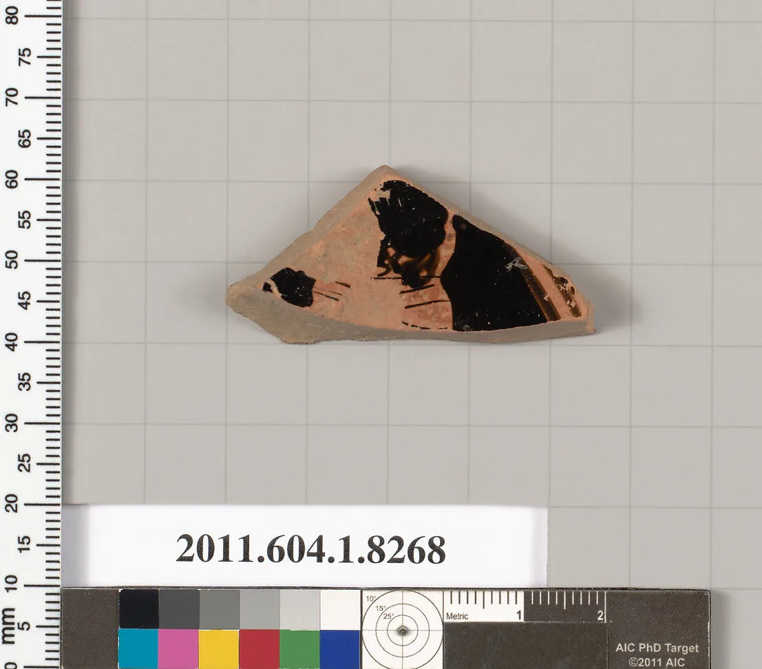 Terracotta fragment of a kylix (drinking cup) — Unknown