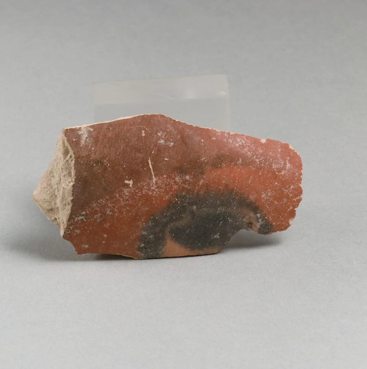 Vase fragment — Unknown