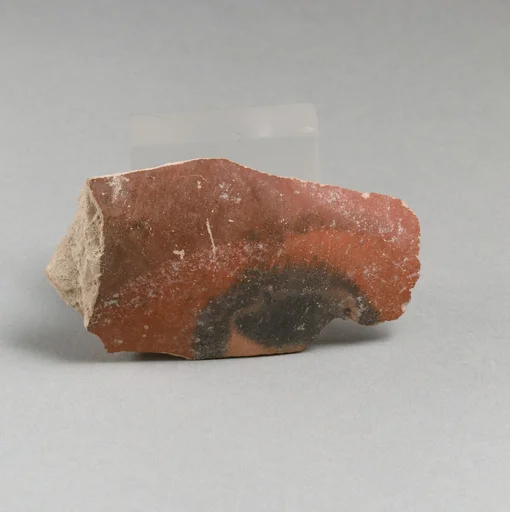 Vase fragment