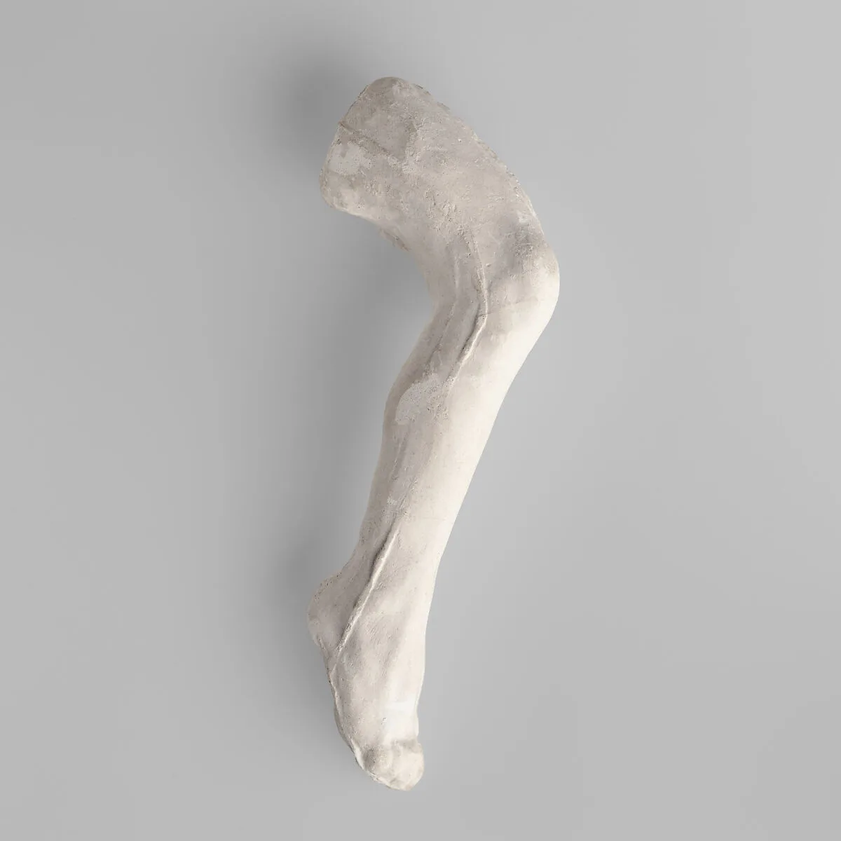Study of a leg — Auguste Rodin