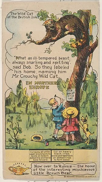 The Wild Cat of the British Isles, Northern Europe, collector card from the Dotty, Bob and Trix Cards series (D27), issued by the Nafziger Baking Company — Nafziger Baking Company, Kansas City, Missouri