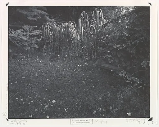 [Innisfree Garden, Millbrook, NY]