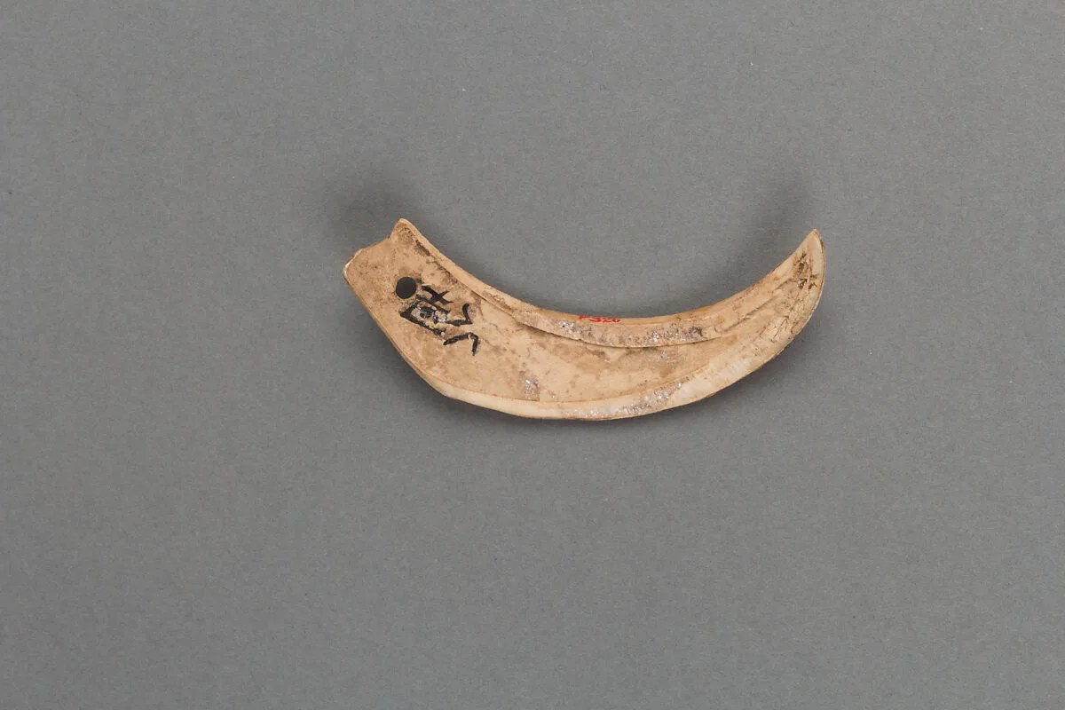 装身具|Body ornament — Unknown