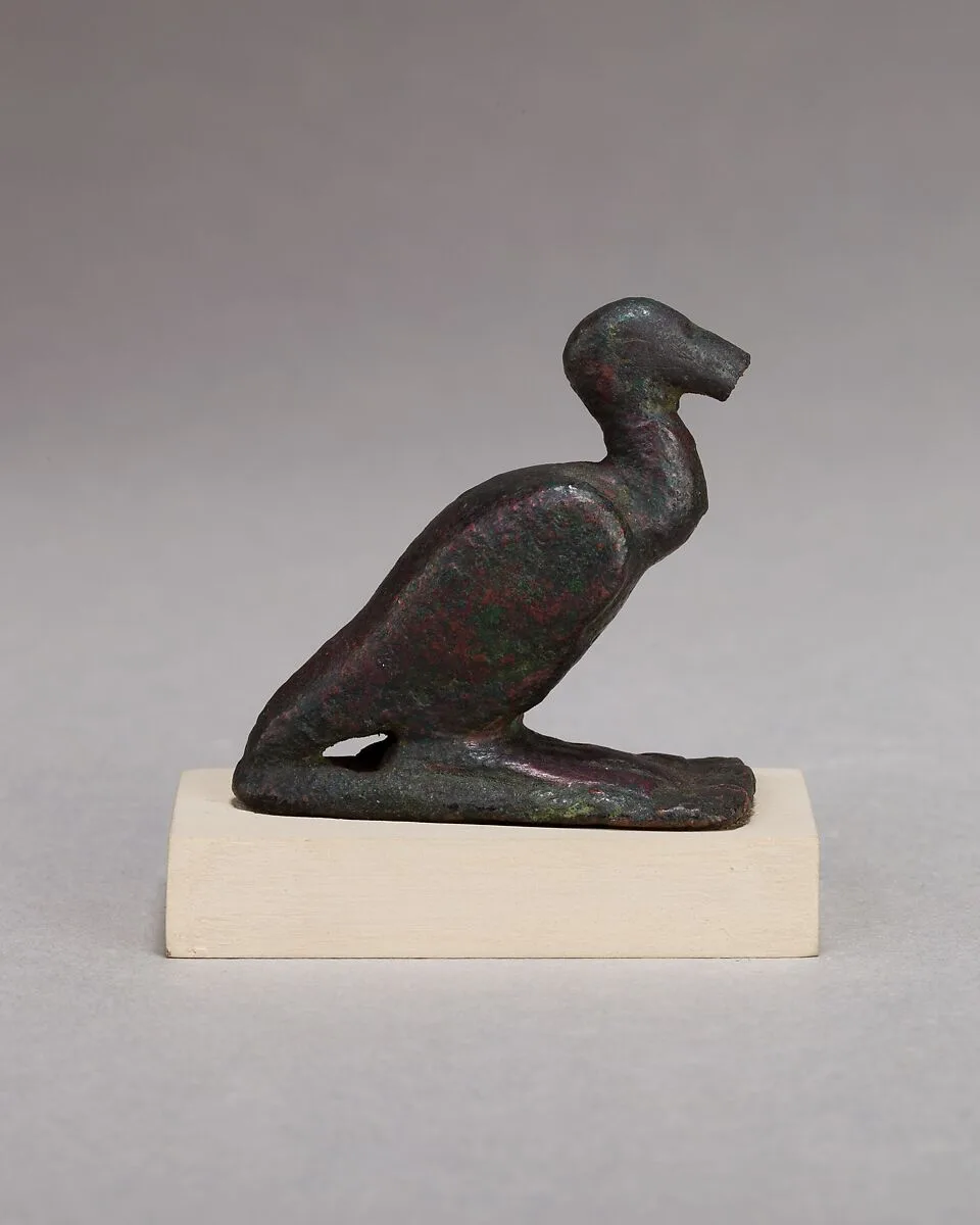 Ibis — Unknown