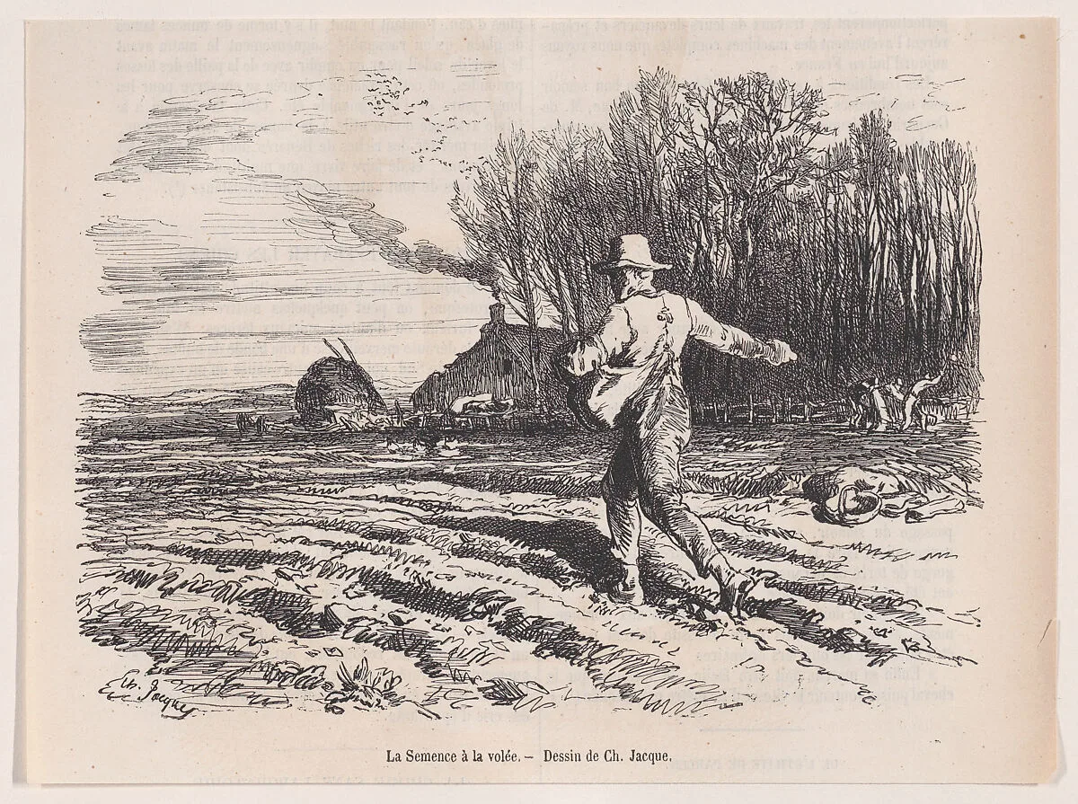 Scattering Seed, from "Le Magasin Pittoresque" — Charles Tamisier|Charles Jacque